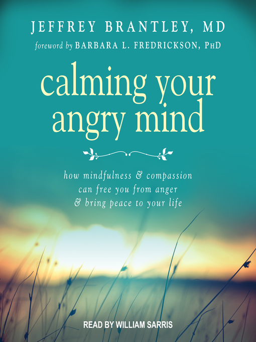 Title details for Calming Your Angry Mind by Jeffrey Brantley, MD - Available